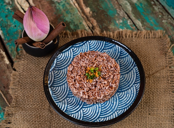 food-dish